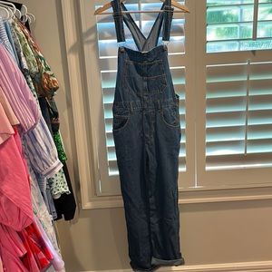Free People Ziggy Denim Overalls